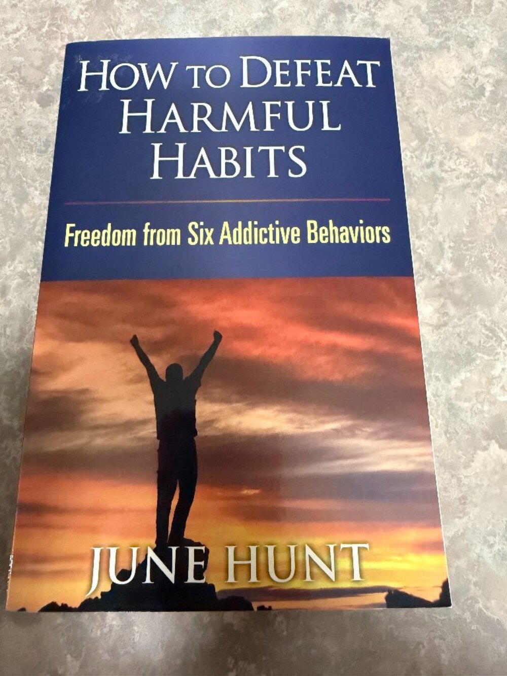 How to Defeat Harmful Habits, paperback book by June Hunt
